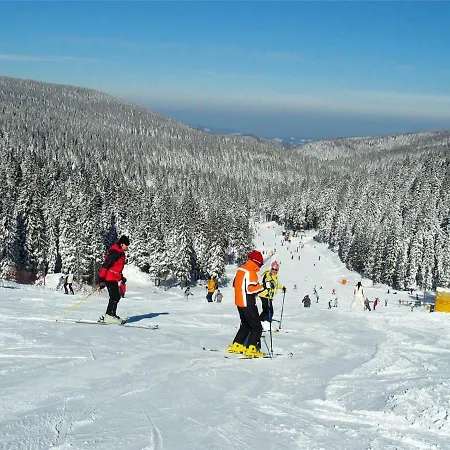 Styria Lent Maribor
